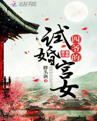 四爷的女儿小说