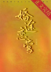 婚途脉脉全文阅读